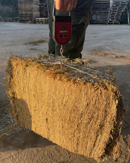 Super Compressed Meadow hay pallet 
