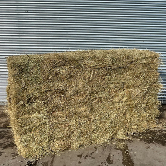 Conventional Meadow Hay Bale