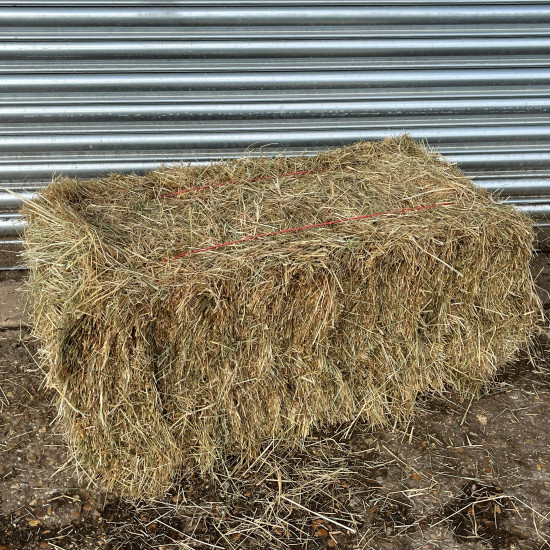 Conventional Meadow Hay Bale