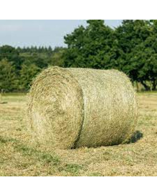 Round Bale Meadow Hay