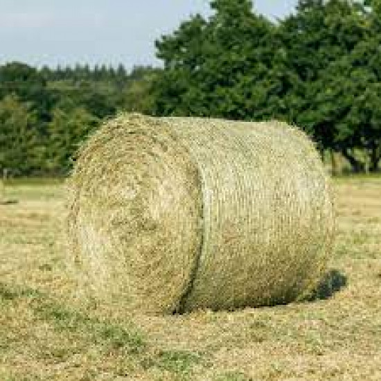 Round Bale Timothy  Hay