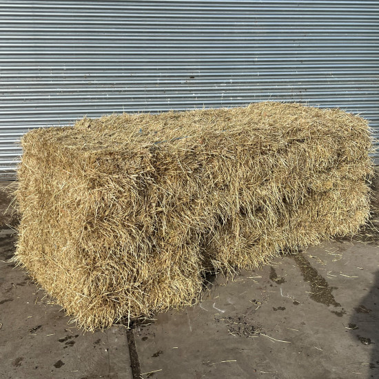 Conventional Bale Ryegrass 14 Bale Hay Pack 