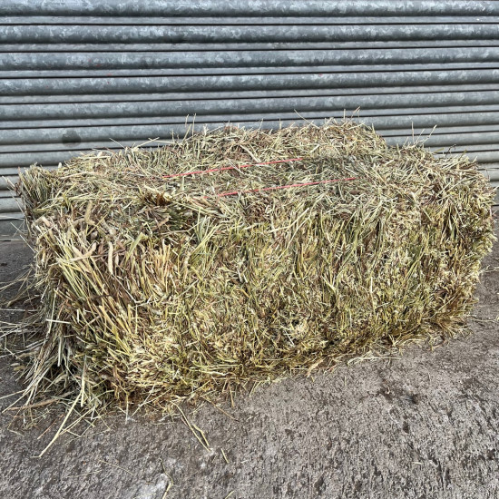 Conventional Bale Low Sugar Timothy Hay